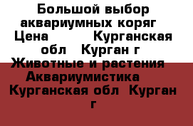 Большой выбор аквариумных коряг › Цена ­ 200 - Курганская обл., Курган г. Животные и растения » Аквариумистика   . Курганская обл.,Курган г.